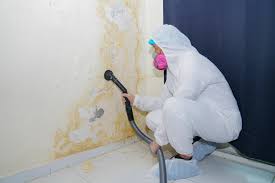 Best Industrial Mold Remediation in Charlotte Hall, MD